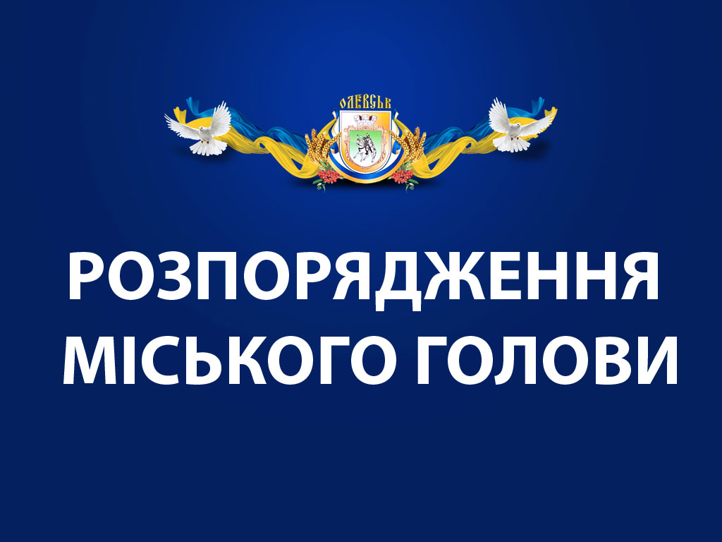 7 листопада об 11:00 год. відбудеться сесія Олевської міської ради