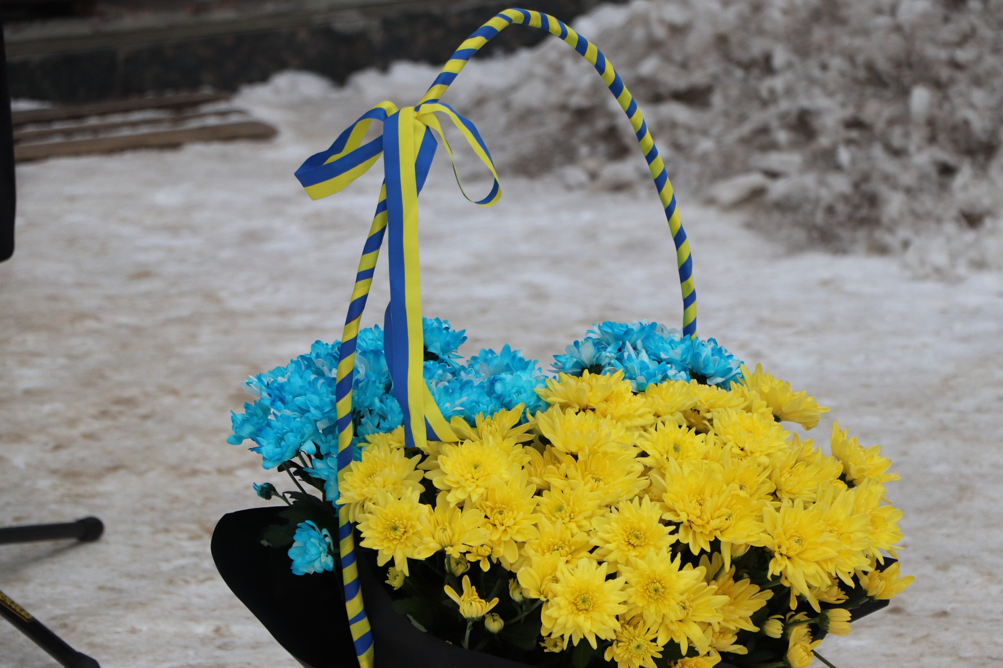 В Олевську відбувся мітинг з нагоди Дня Соборності України